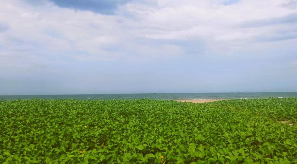 Chan Beach Resort Bahur Exterior photo